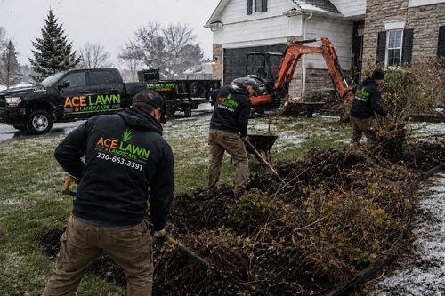 Crew removing an overgrown bed with a mini excavator during winter